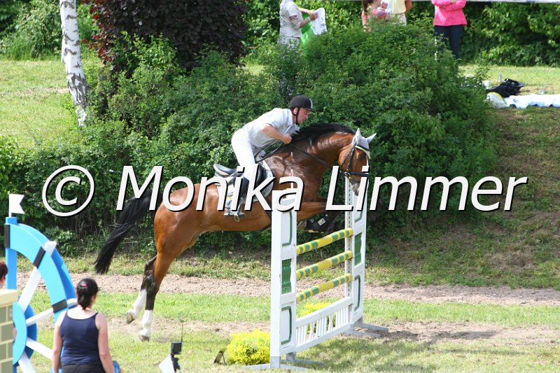 204M6465_Colandor_Spring Mx.JPG